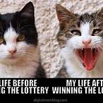 lottery funny